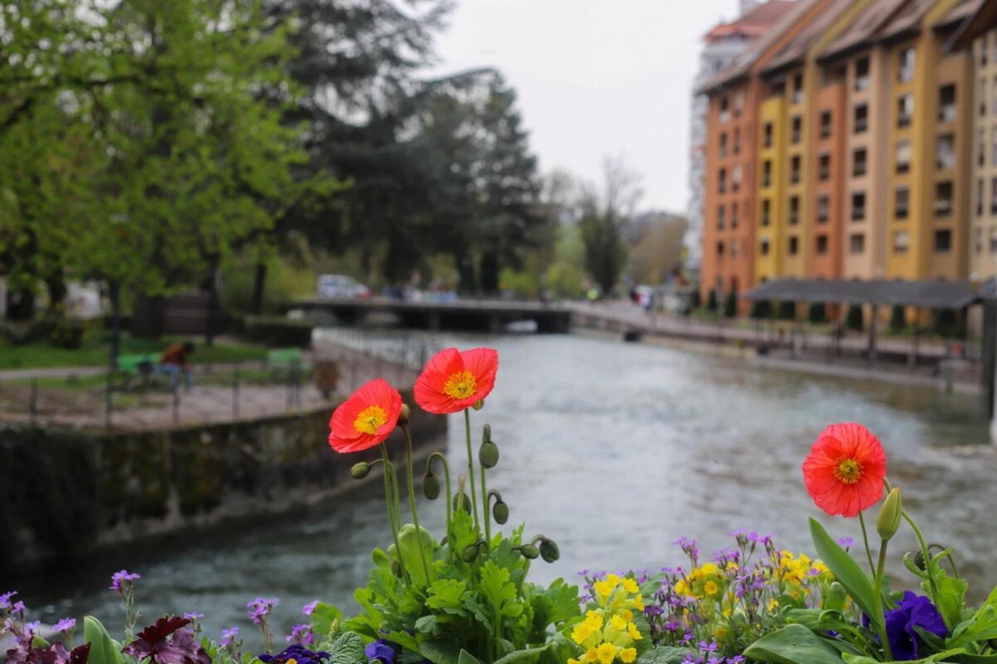 Le Coeur De Ville Splendide T2 Plein Centre Annecy Eksteriør bilde